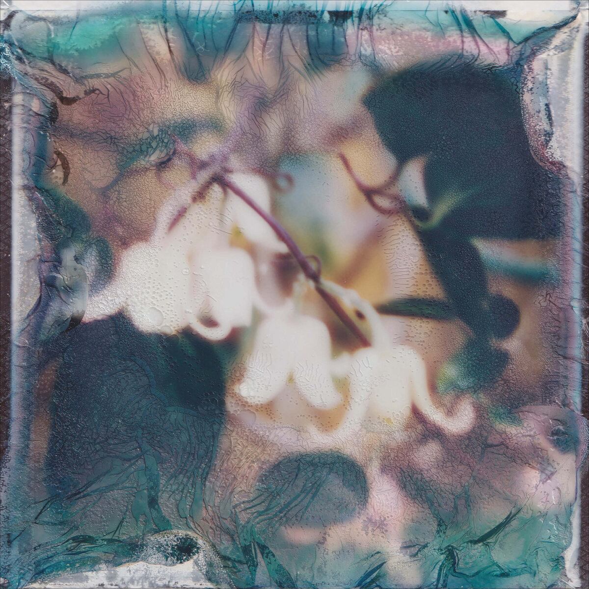 【レコード】Svitlana Nianio & Tom James Scott - Eye of the Sea (Skire)