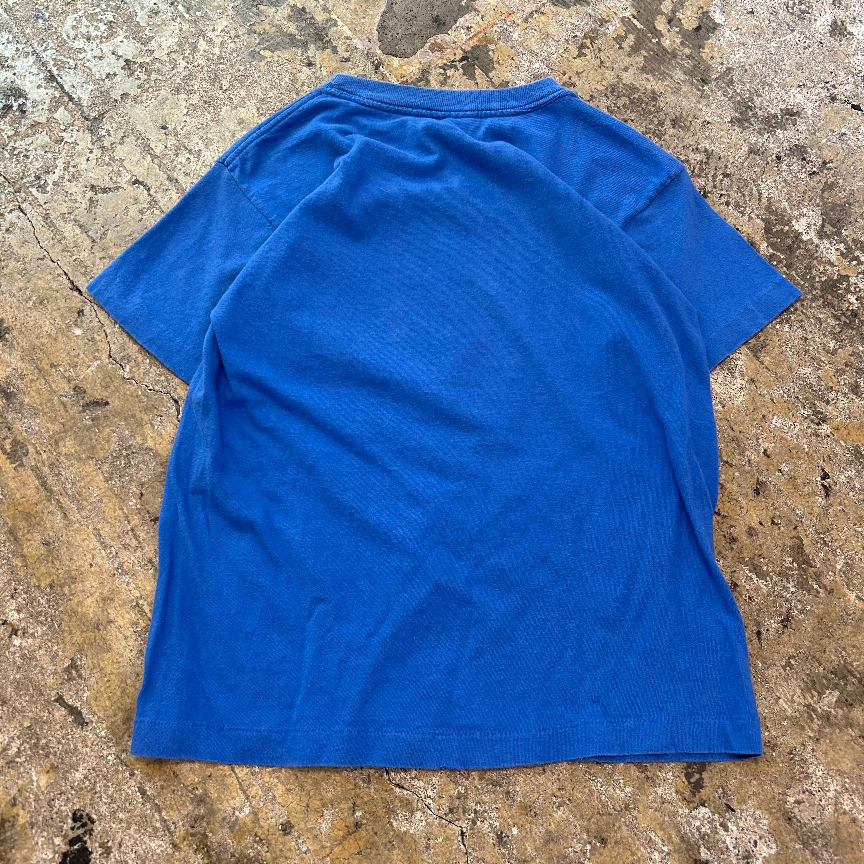size:S位 90年代 SSI DINOSAURS 恐竜家族 キャラクターTシャツ 青 紫 