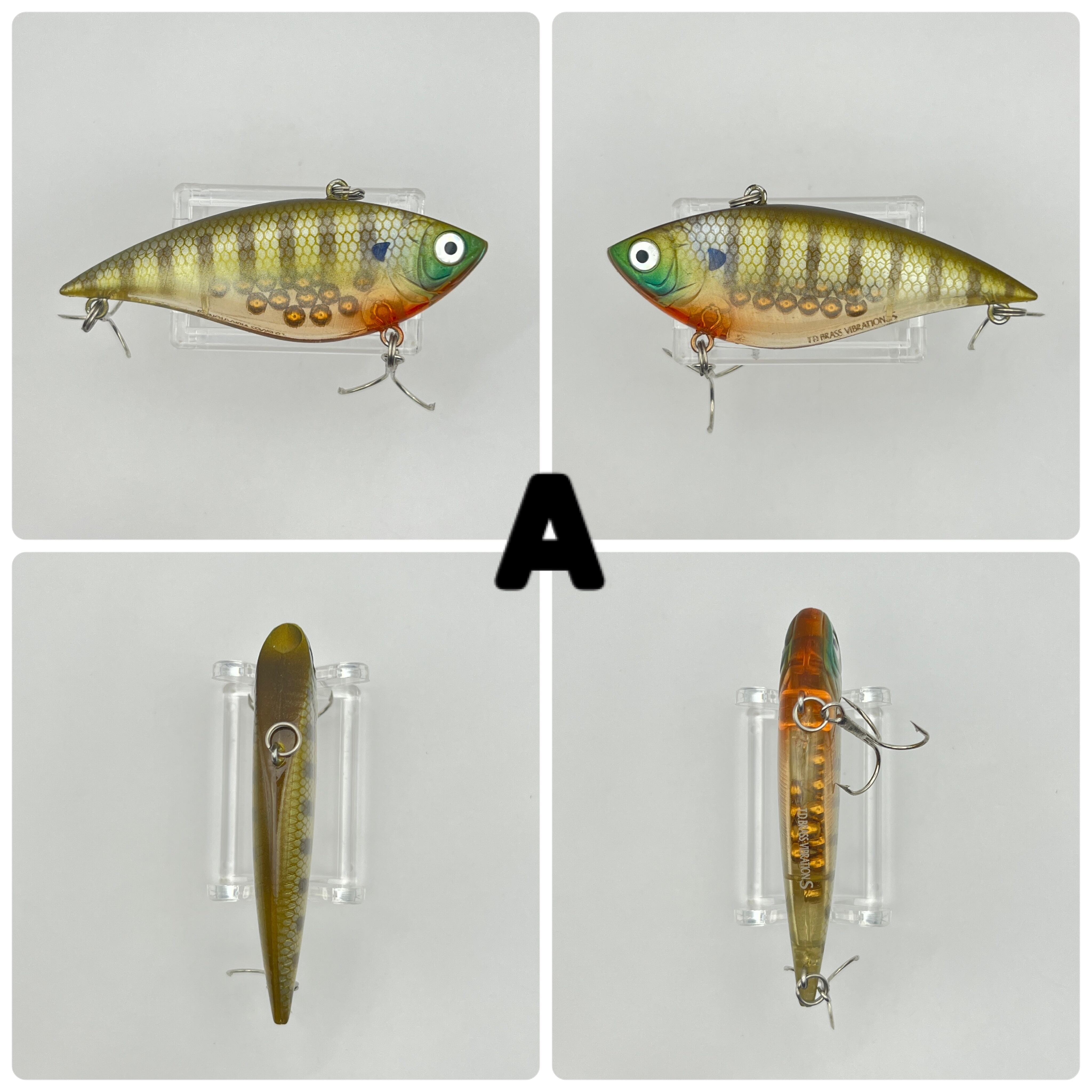 DAIWA | Outdate_hiddenroom