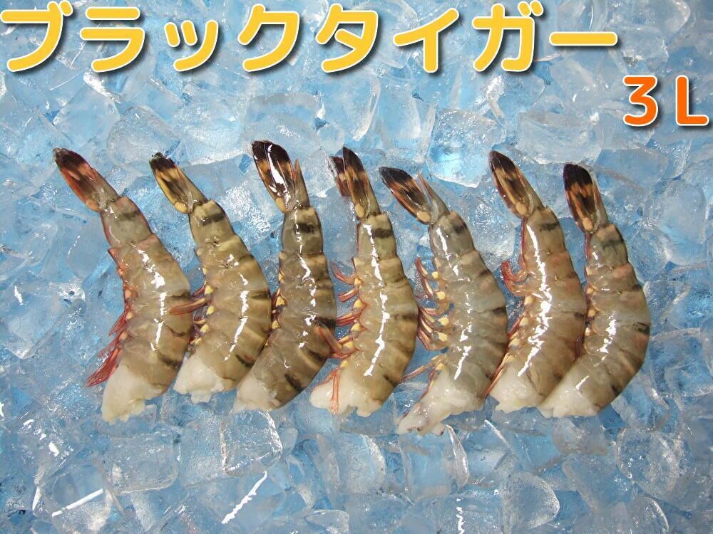 ブラックタイガー（養殖）3L 1.8kg | 中央えびオンラインショップ