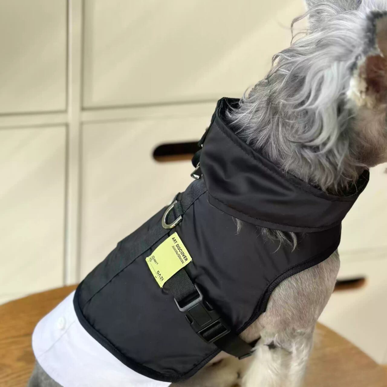 レイヤード風 ウインドブレーカー (リードなし)♢0064