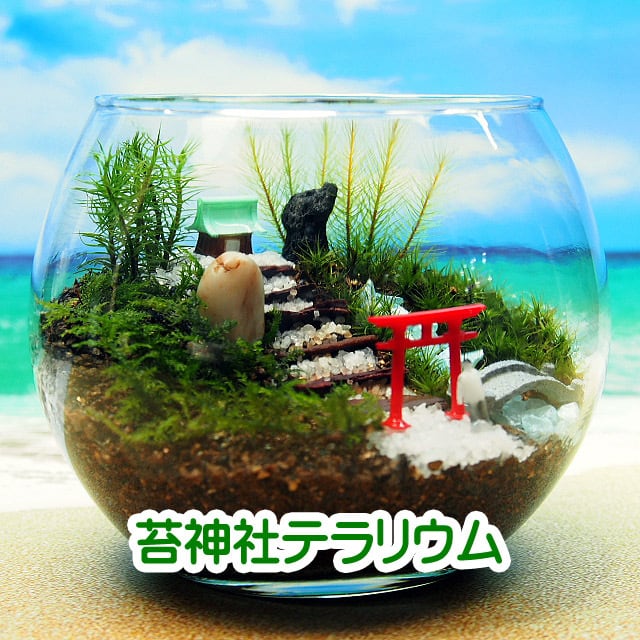 1ccc69dc969eb265f8a479c13e92d9