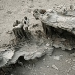 Sand Tufa #MonoLake thumbnail 1