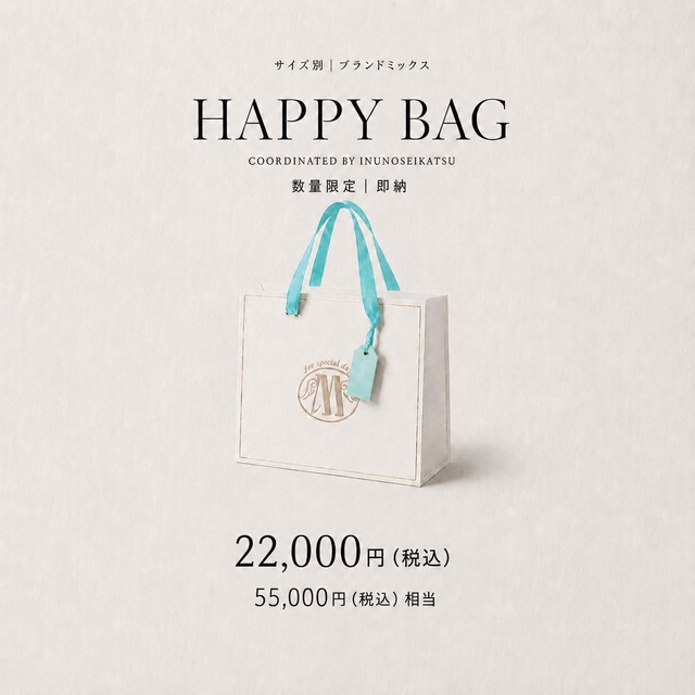 数量限定・即納【HAPPY BAG】Summer2026 　20000＋tax