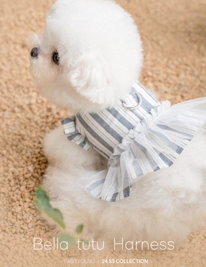 予約【pecoramou select】Bella tutu Harness