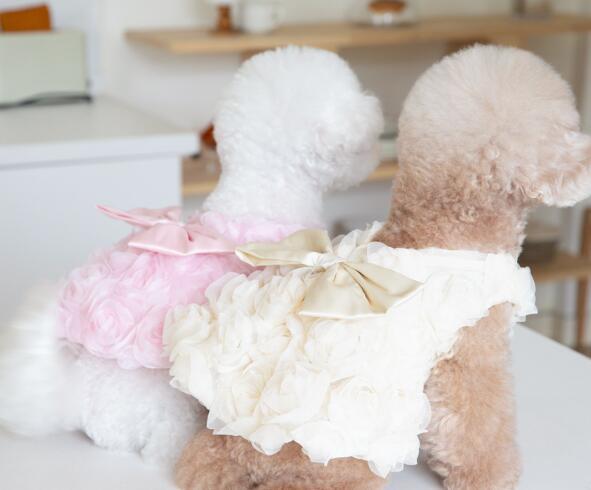 おすすめ☞《予約》№2101577 オールフラワーキャミソール