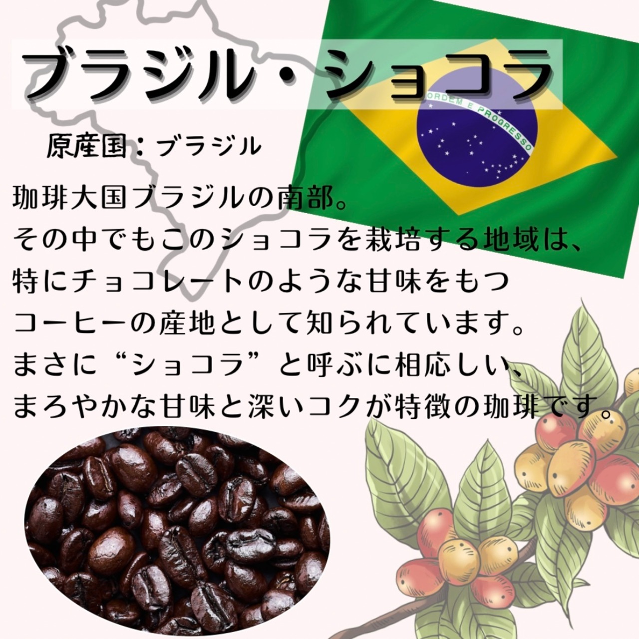 ブラジル・ショコラ (ブラジル)