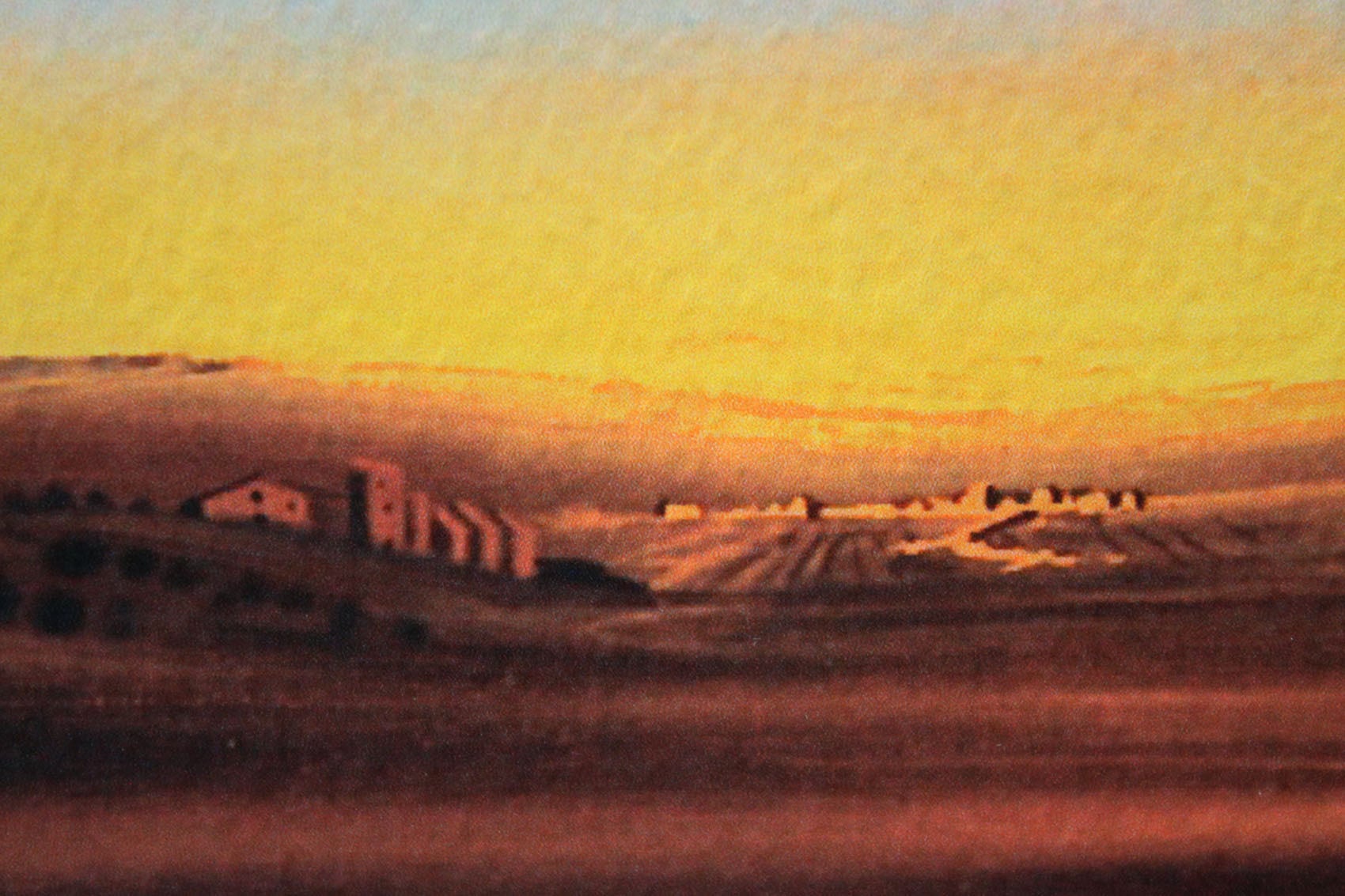 サルバドール ダリ「瞑想するバラ」額縁4色選択可能 作品証明書 展示用