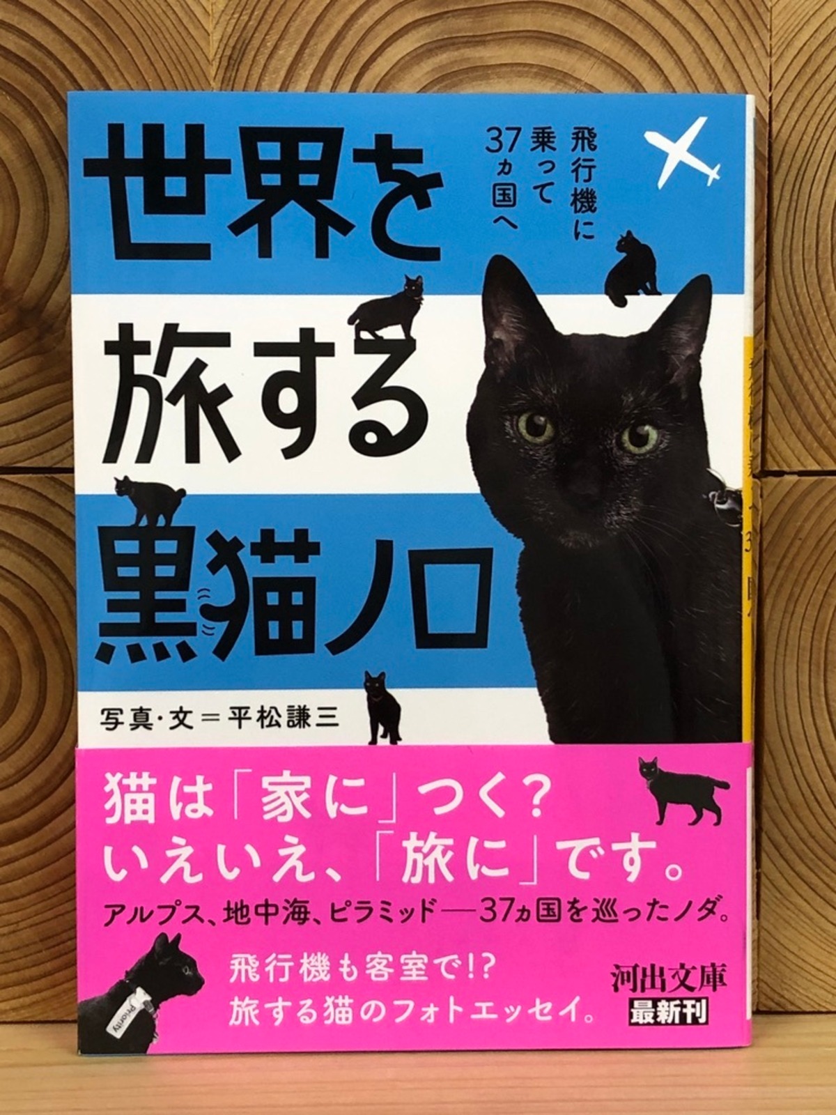 世界を旅する黒猫ノロ 飛行機に乗って37ヵ国へ 冒険研究所書店