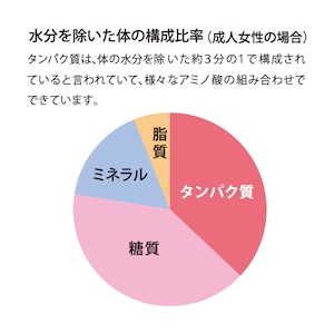 S1アミノ酸