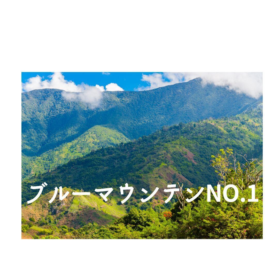 ブルーマウンテンNo.1 中煎り □産地:ジャマイカ □内容量:100g | 岳山