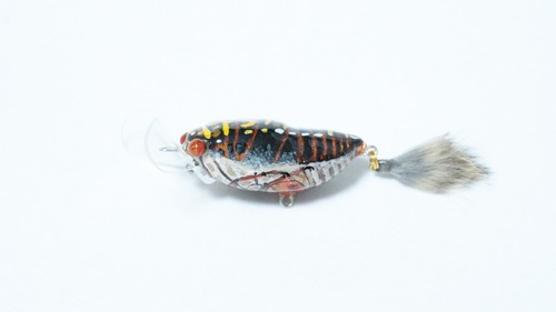 BT渚蟬44（ナギサゼミ）