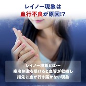 桐灰（きりばい） ヒエナース 手の温熱ホルダー 詰め替え用 温熱シート レイノー現象 つらい冷えなどの血行不良に 血行改善温熱治療具 詰替用 10枚入 小林製薬