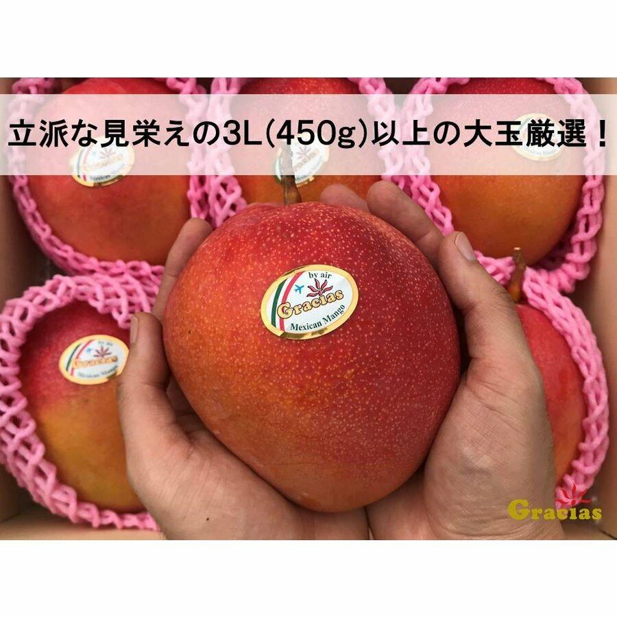 ３ｌ ４l特大４個 グラシアスマンゴー メキシコ産ケント種 送料込 レインボーフレッシュ