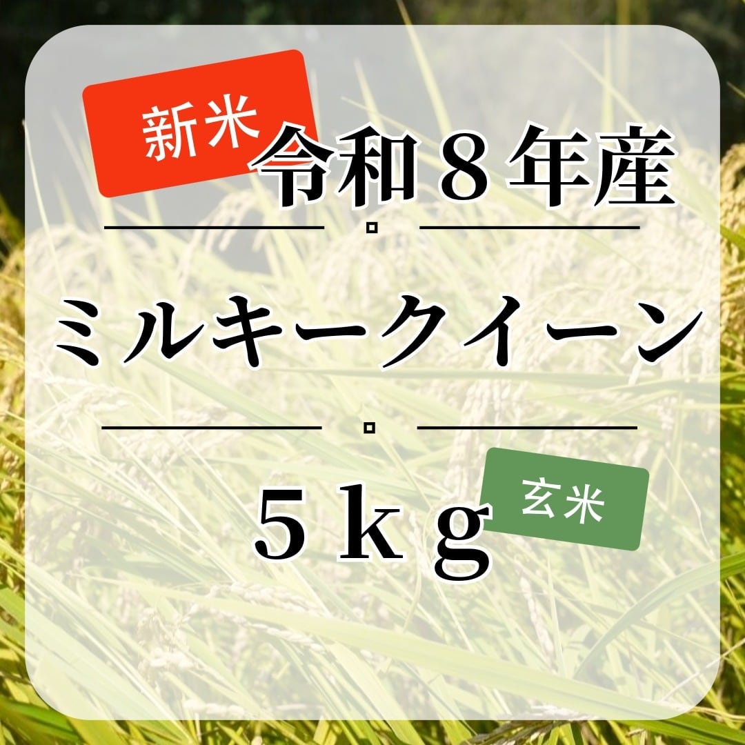 新米『ミルキークイーン』【白米・無洗米】5kg | 上野さんちのお米