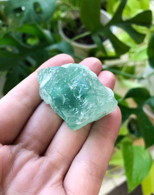 あなたの元々の素質へ