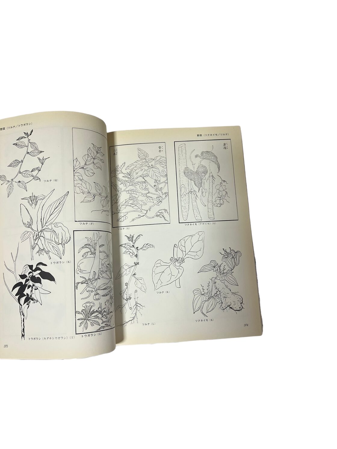 キース希少カードに墨でドローイング 2点セット 2025年最新】Keith