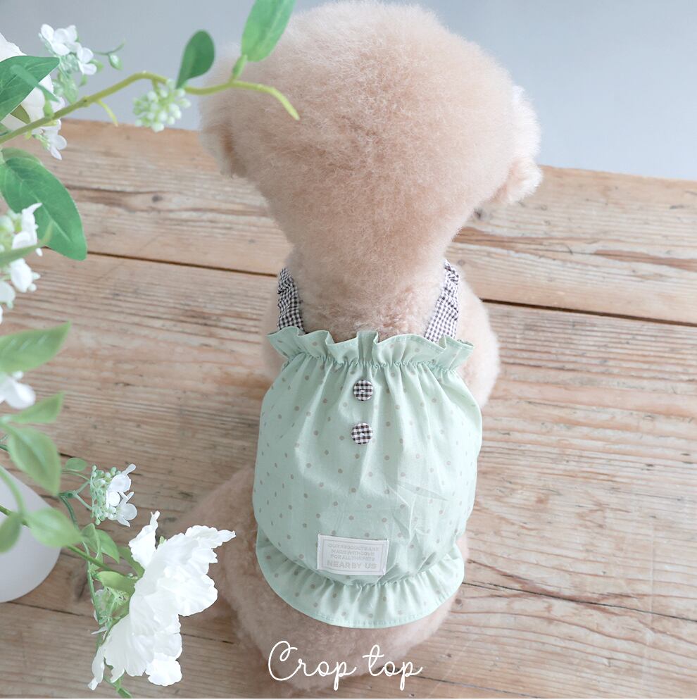 予約【near by us】cookie crop top (greentea choco)