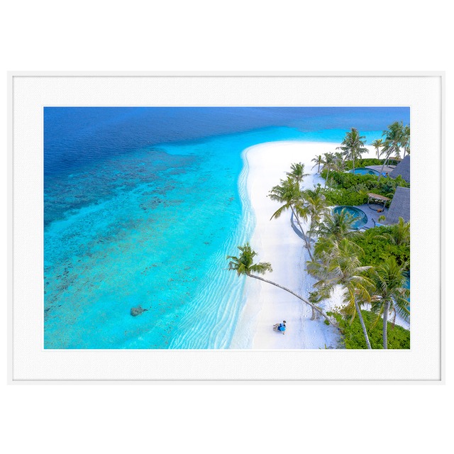 夏写真 モルディブのヤシの木B インテリアアートポスター額装 AS0232