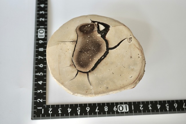 マダガスカル産セプタリアン Septarian 1395