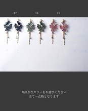 夜の舞【金魚】