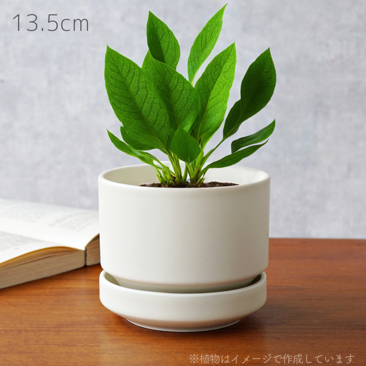 13.5cm SN2 ARABIA フラワーポット プランター 植木鉢 Mサイズ
