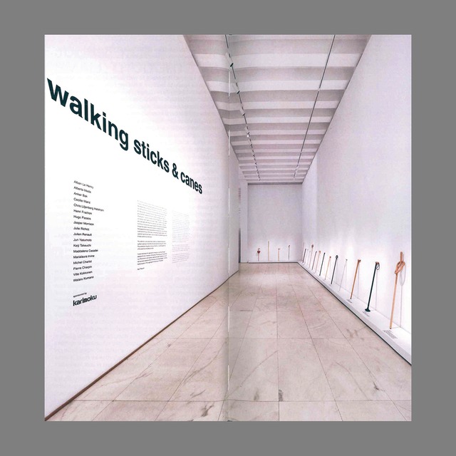 WALKING STICKS