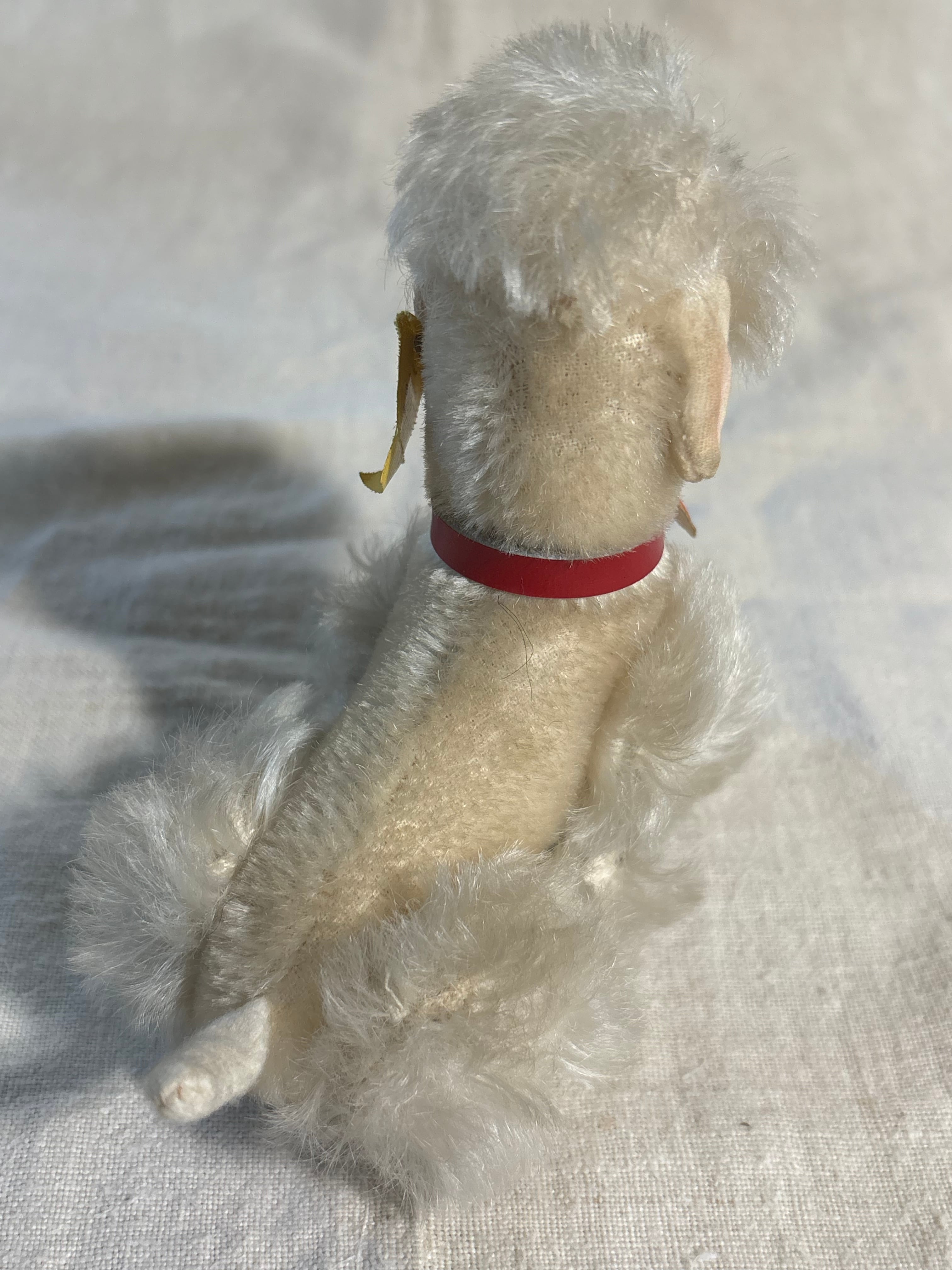 やさしい表情のプードル | Steiff Poodle Snobby 14cm White all ID