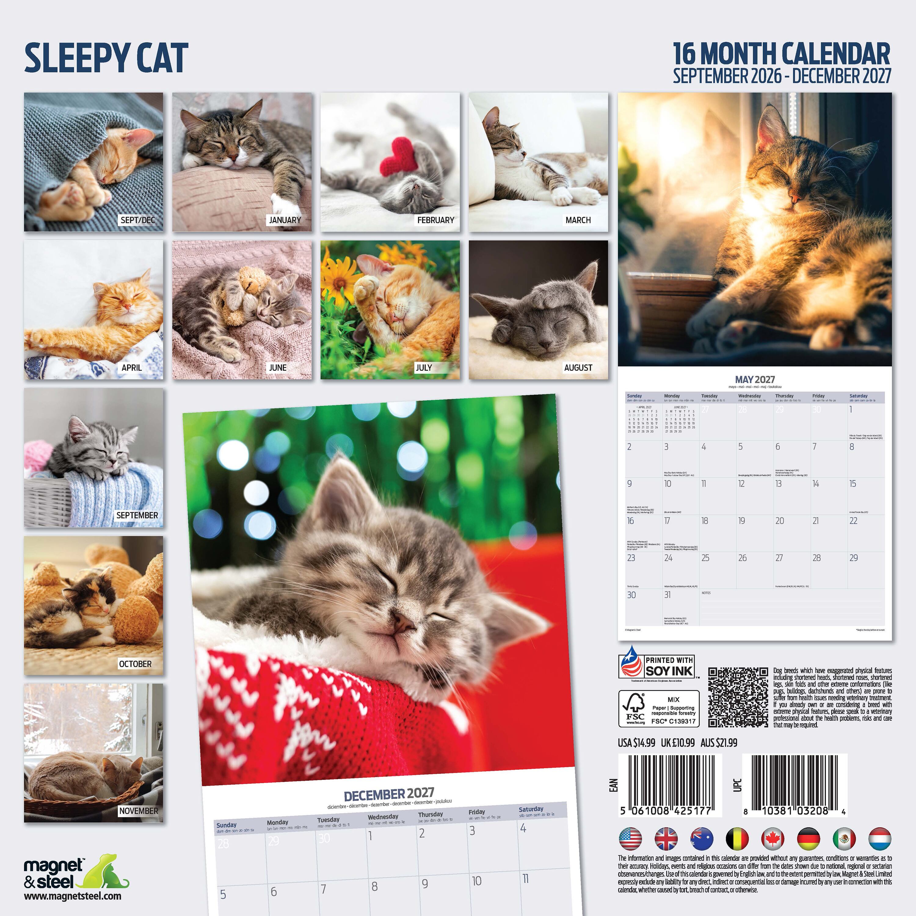 【2027年版】英国製カレンダー【Sleepy Cat】 2027年版