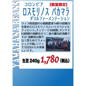 【数量限定】コロンビア ロスモリノス パカマラ ウォッシュド　生豆240gを焙煎