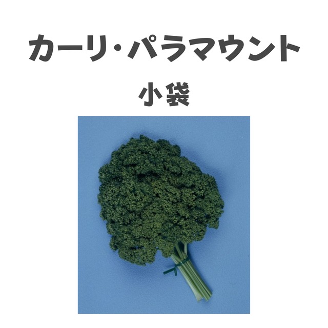 カーリ・パラマウント　パセリ種子・GF小袋