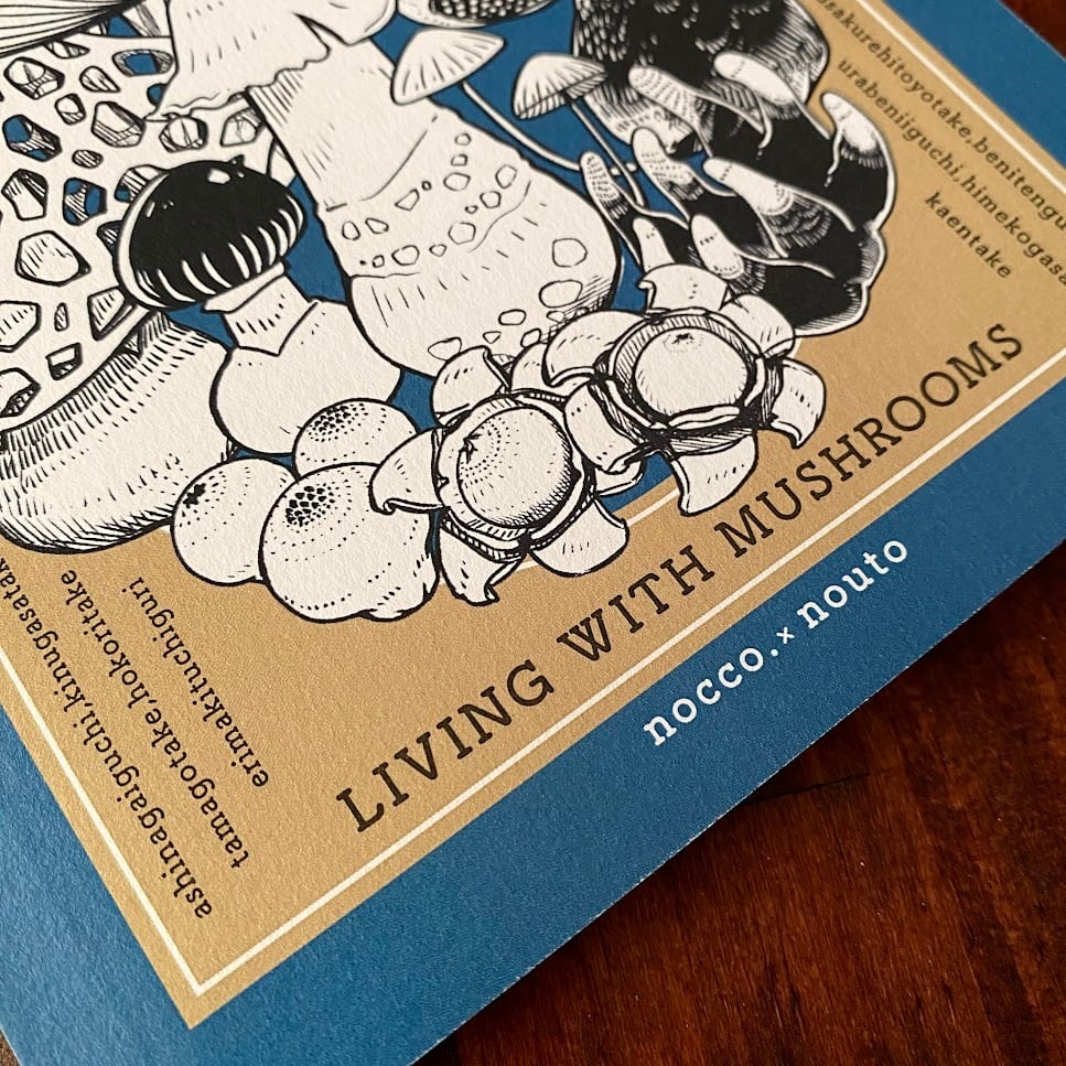 ノンブルノート「N」（22）nocco.編 | ノウト通販係