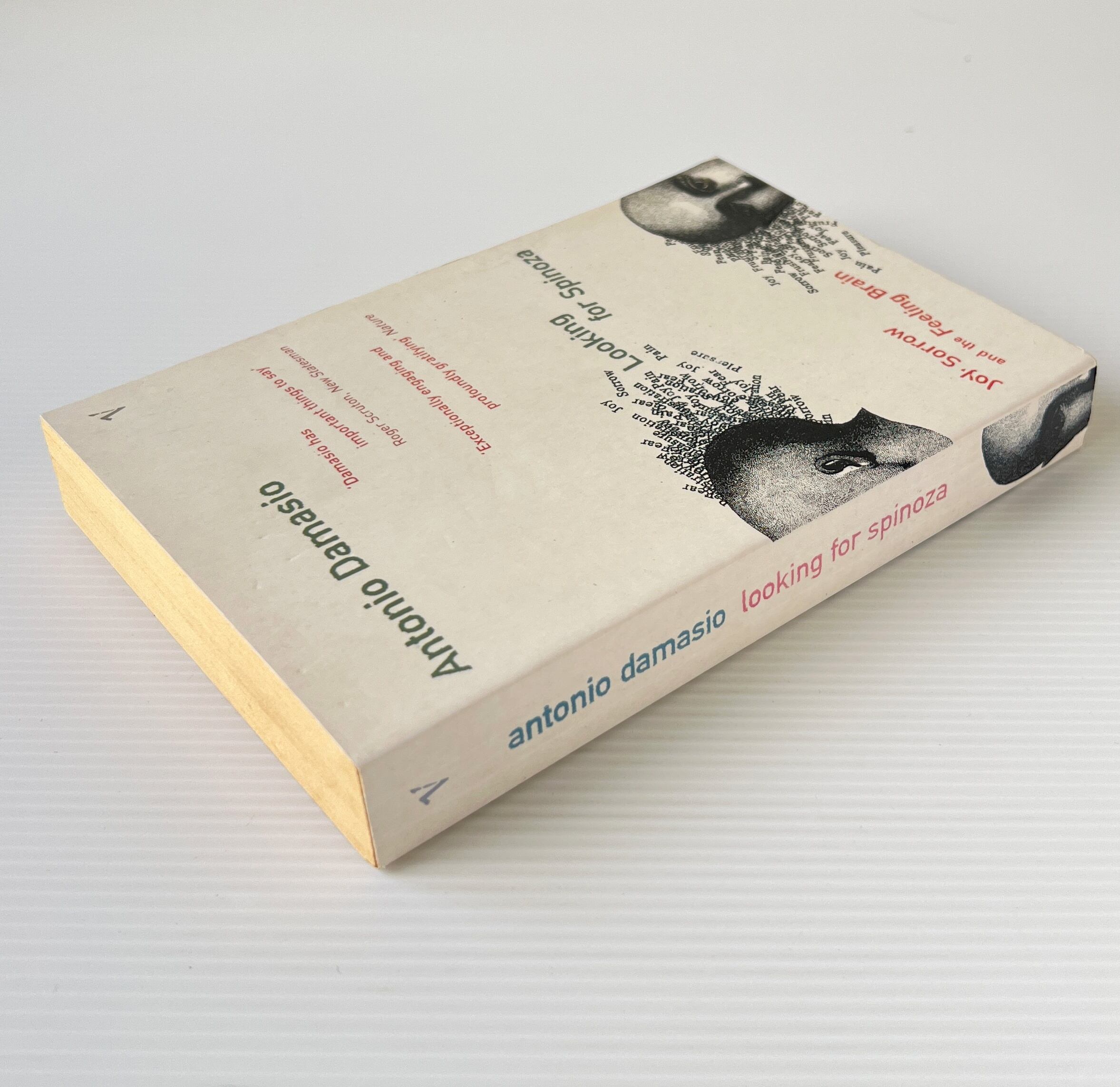 Looking for Spinoza : Joy, Sorrow and the Feeling Brain / Antonio Damasio / Vintage