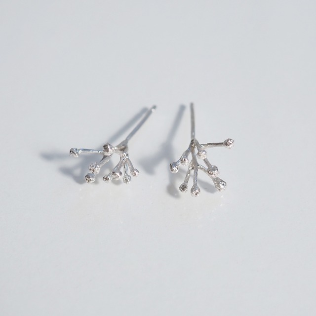 カスミソウのピアス(silver)