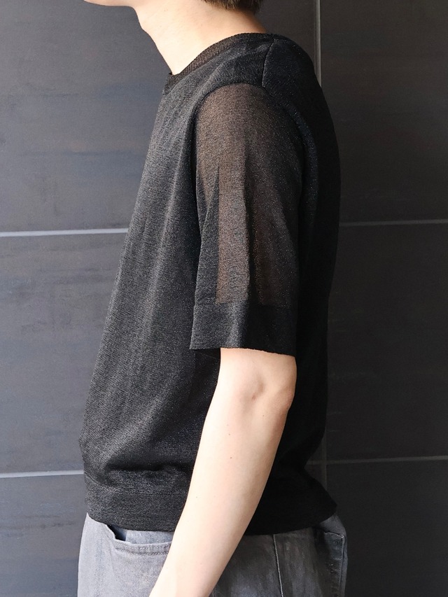 glitter sheer box silhouette top