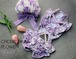 予約【HAPPYJJANGGU】Cross Bikini Flower《Violet》