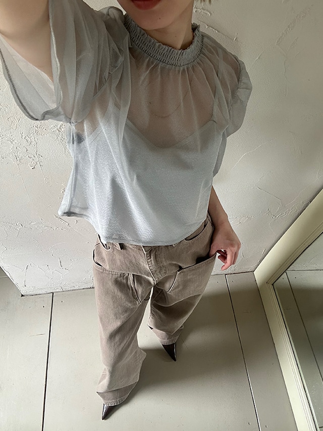 Glitter Sheer Top / GRAY BLUE
