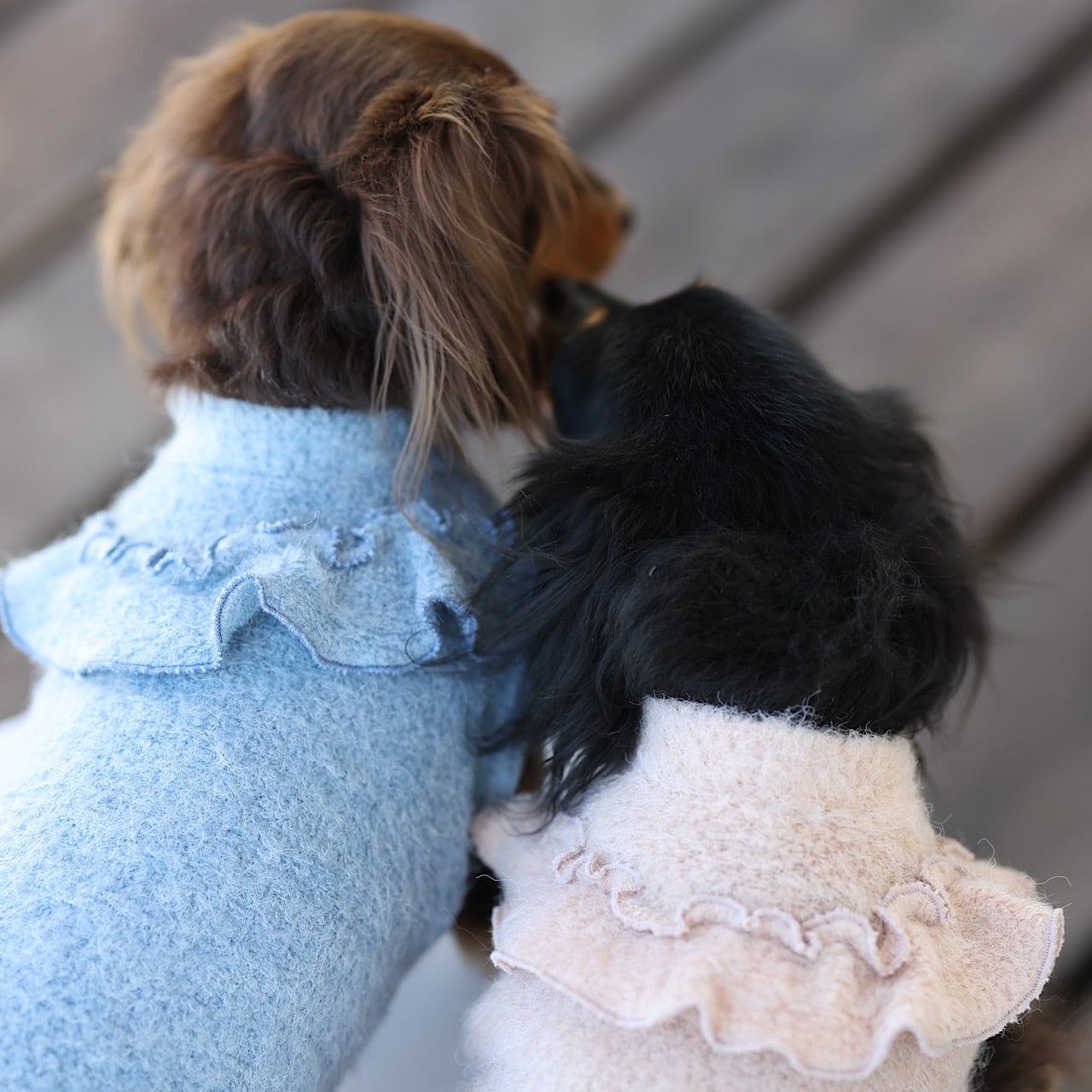 袖なし | カニンヘンダックスとミニチュアダックス専門のお洋服web