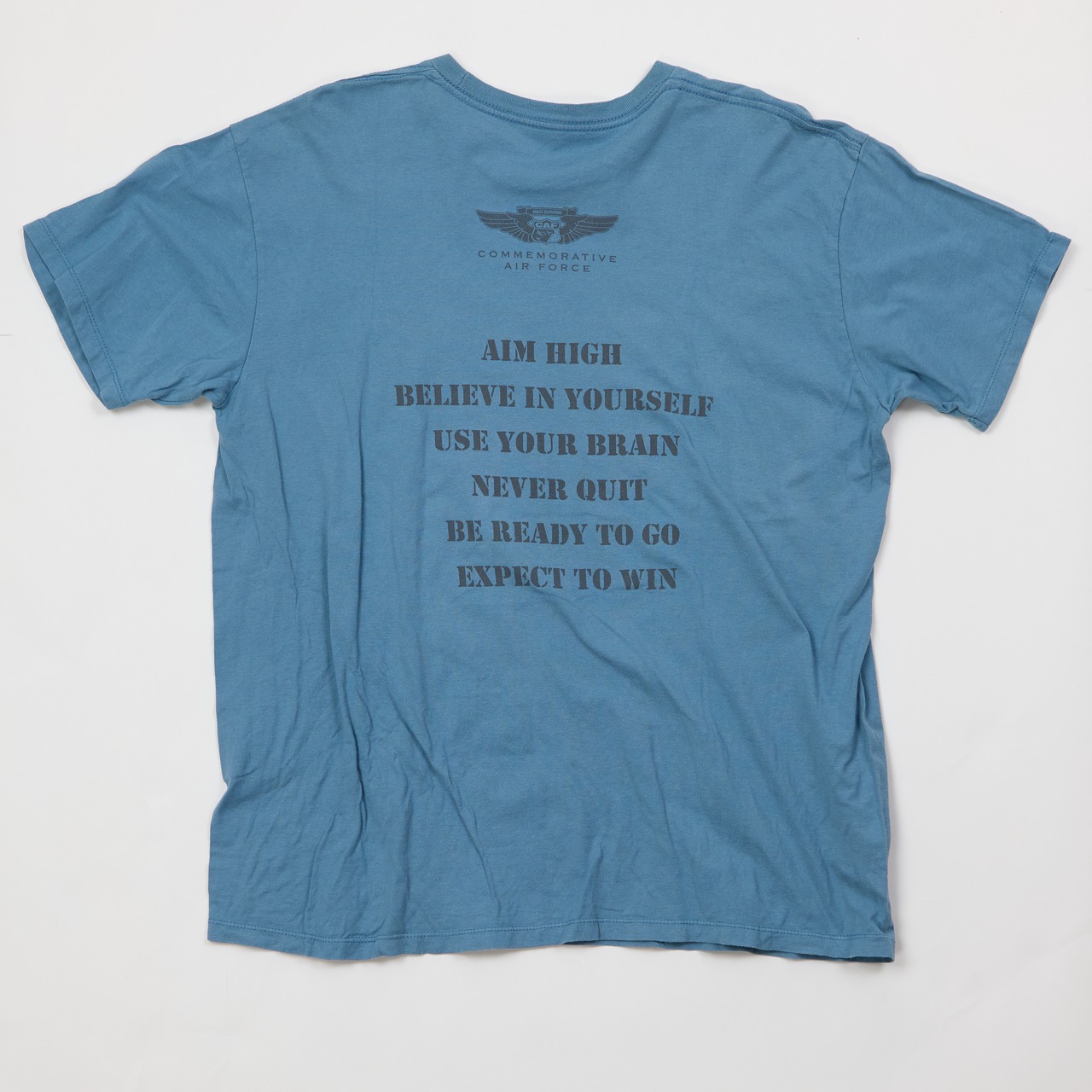 古着 P-51C Mustang（マスタング） Tシャツ