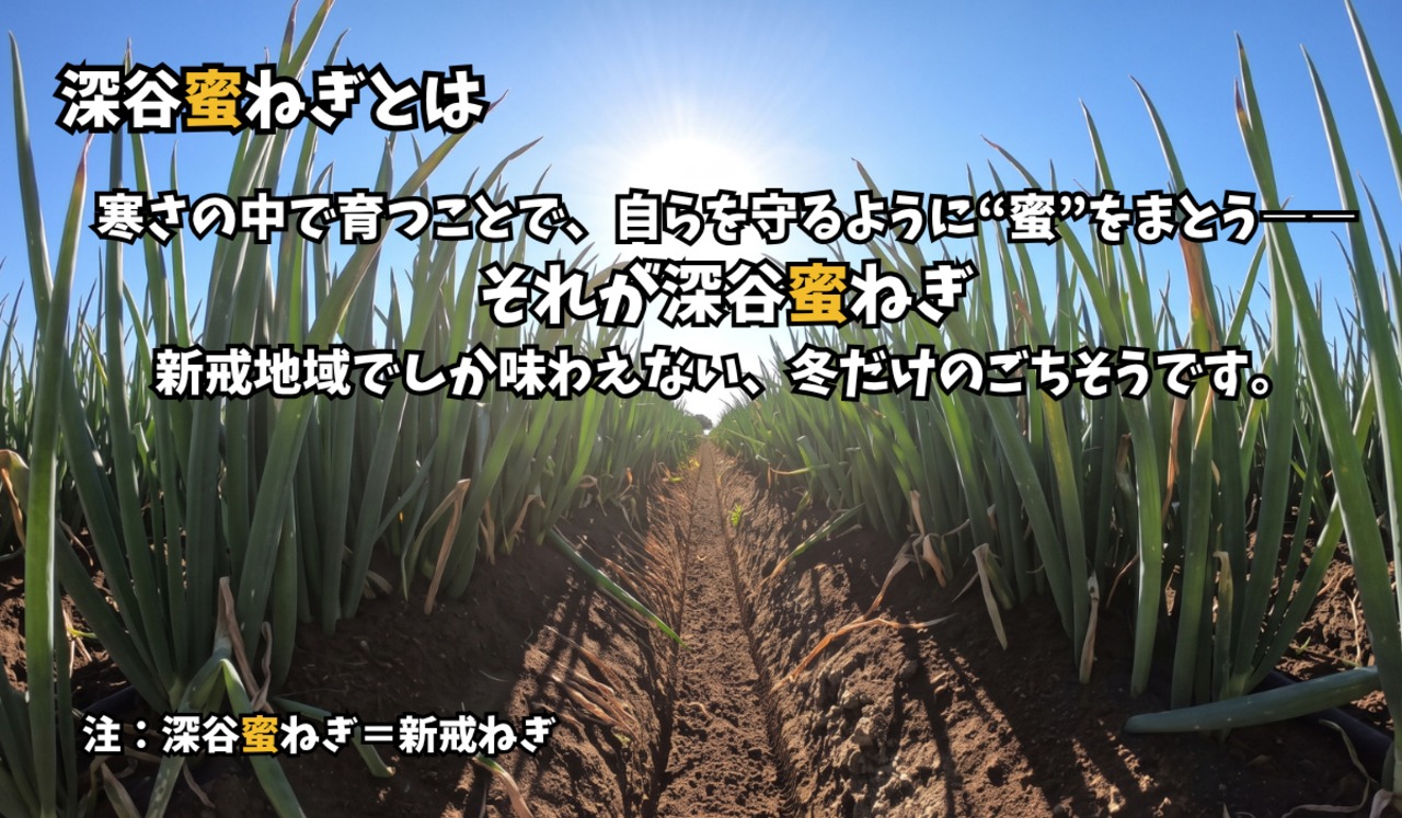 深谷蜜ねぎ2,5キロ