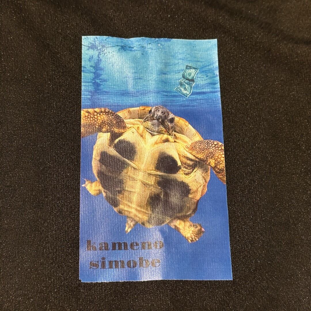 水泳ヘルマンリクガメドライTシャツM黒/亀オリジナル半袖Tシャツ