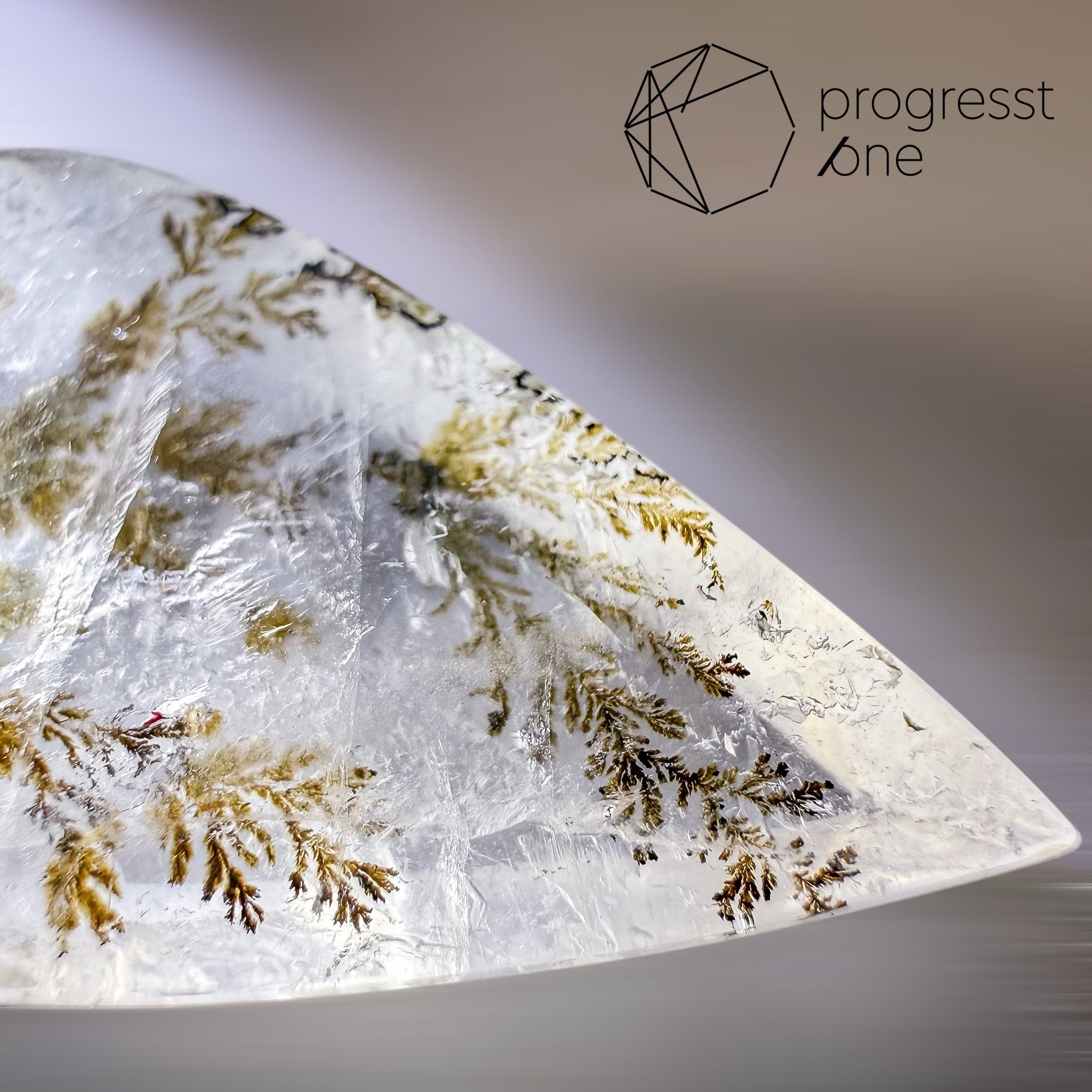 デンドライトインクォーツ20.64ct | progresstone
