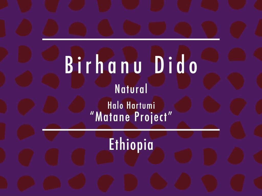 【お得!500g】エチオピア / Birhanu Dido Natural Halo Hartumi "Matane Project"