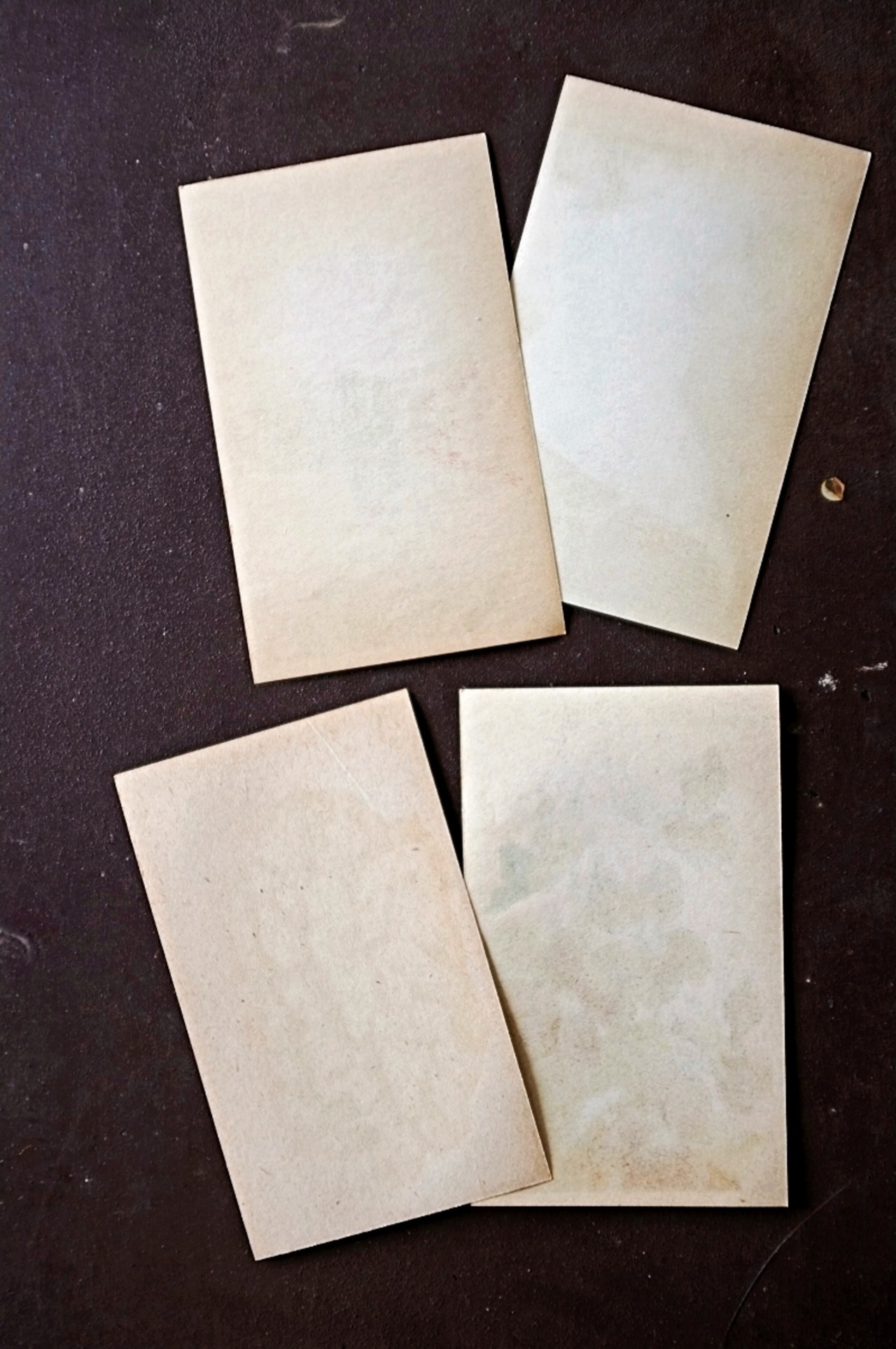 20s フランス 4set 膨満な花々と野菜たち 種子袋用ラベルs アンティーク