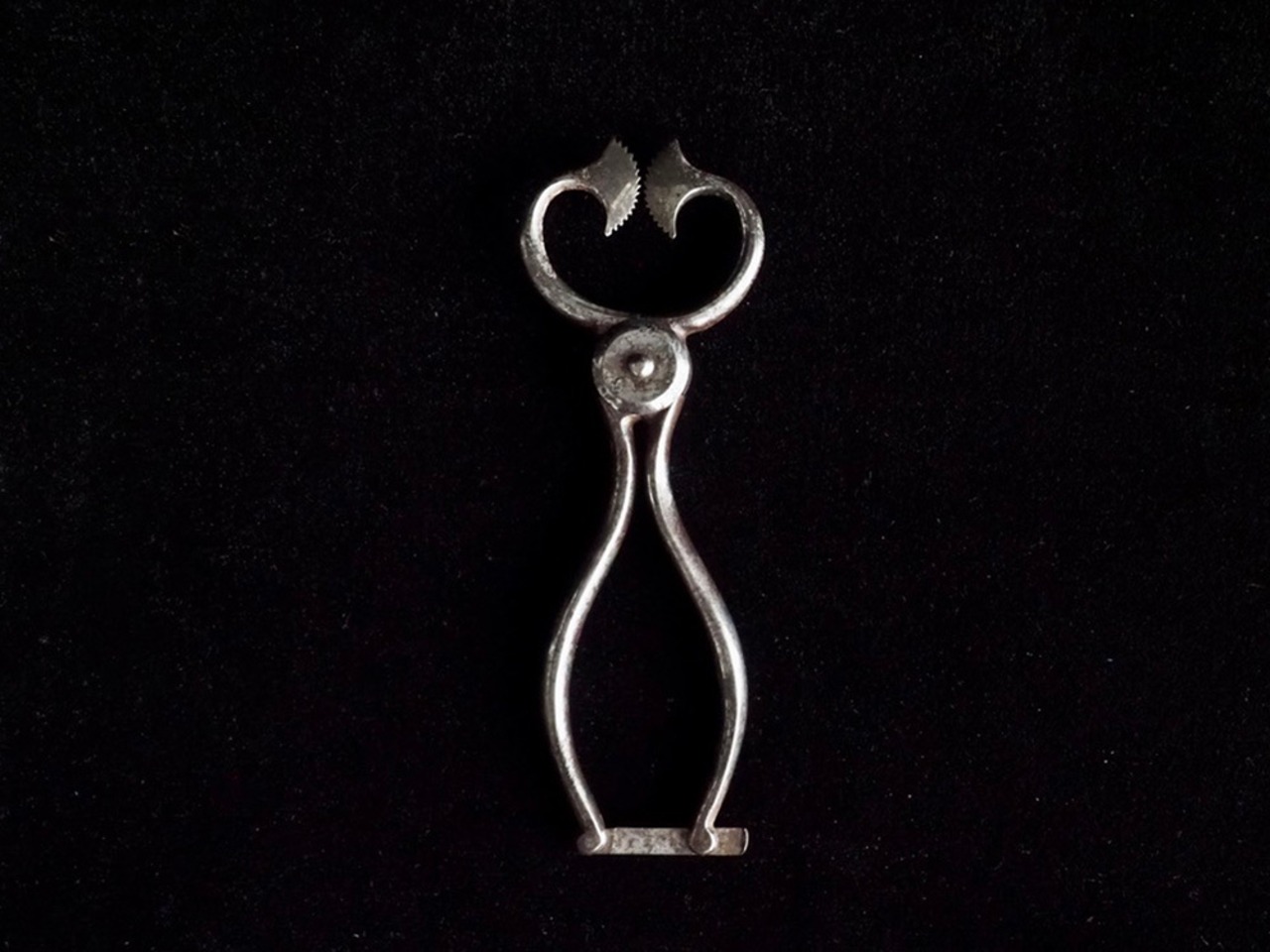 Sugar Cutters