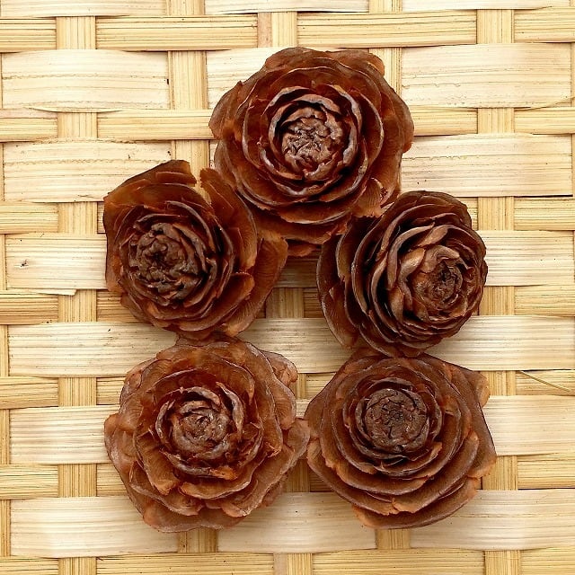 シダーローズ M 5個 | 木の実通販の shop.木の実