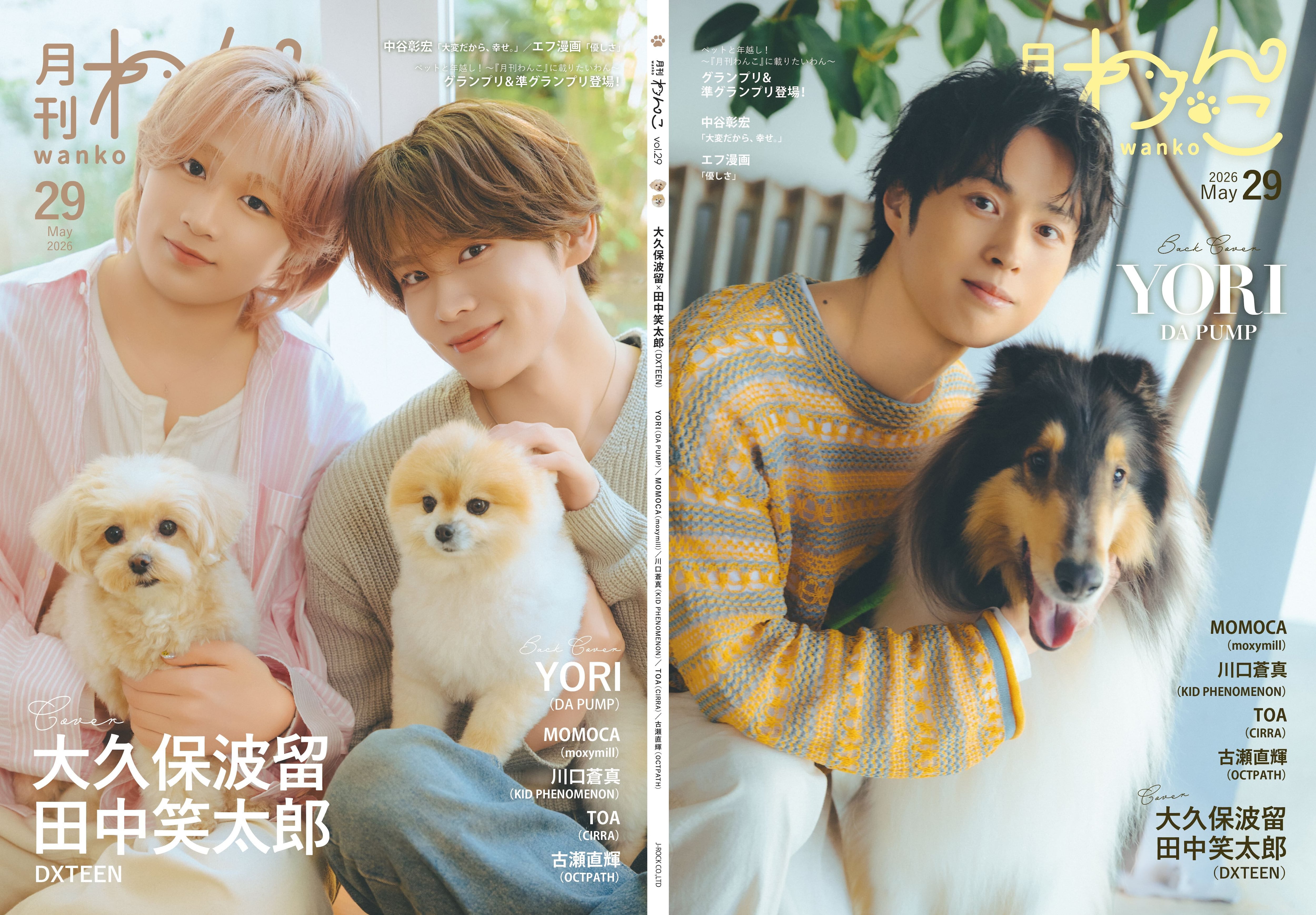 【タグ付き】 Amore Dog 犬 ぽってり 可愛い 入手困難 Jellycat Amore Dog AM2D アモーレ ドック 犬の縫いぐるみ を通販 | ETOFFE