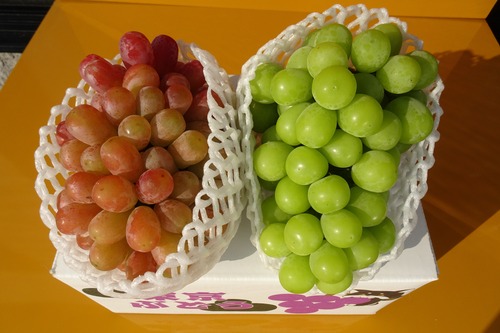 【予約販売】ST 東京ぶどう