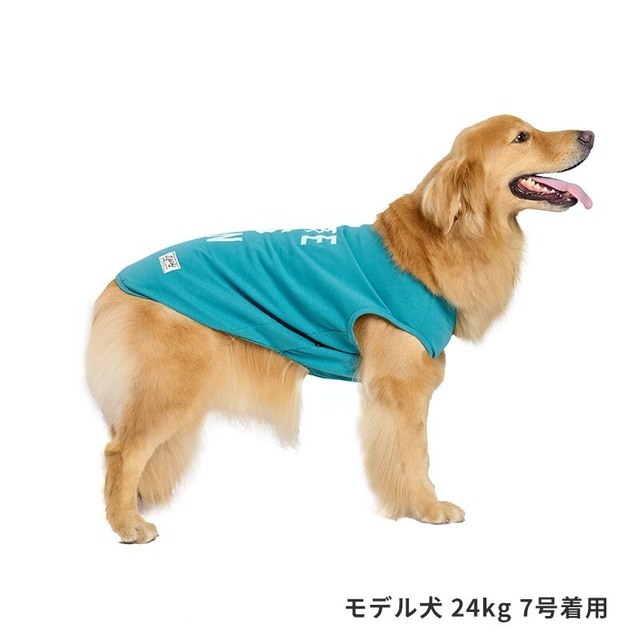 犬服　ICEライフイズタンク [サイズ: １号〜] [カラー: ターコイズ]