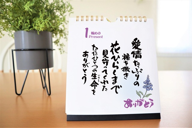 敬老の日 父の日 お誕生日ギフトに 日めくりカレンダー お父さんに感謝 心に贈る言葉の花束 パパにバレンタイン 勤労感謝の日にも Salvia Shop